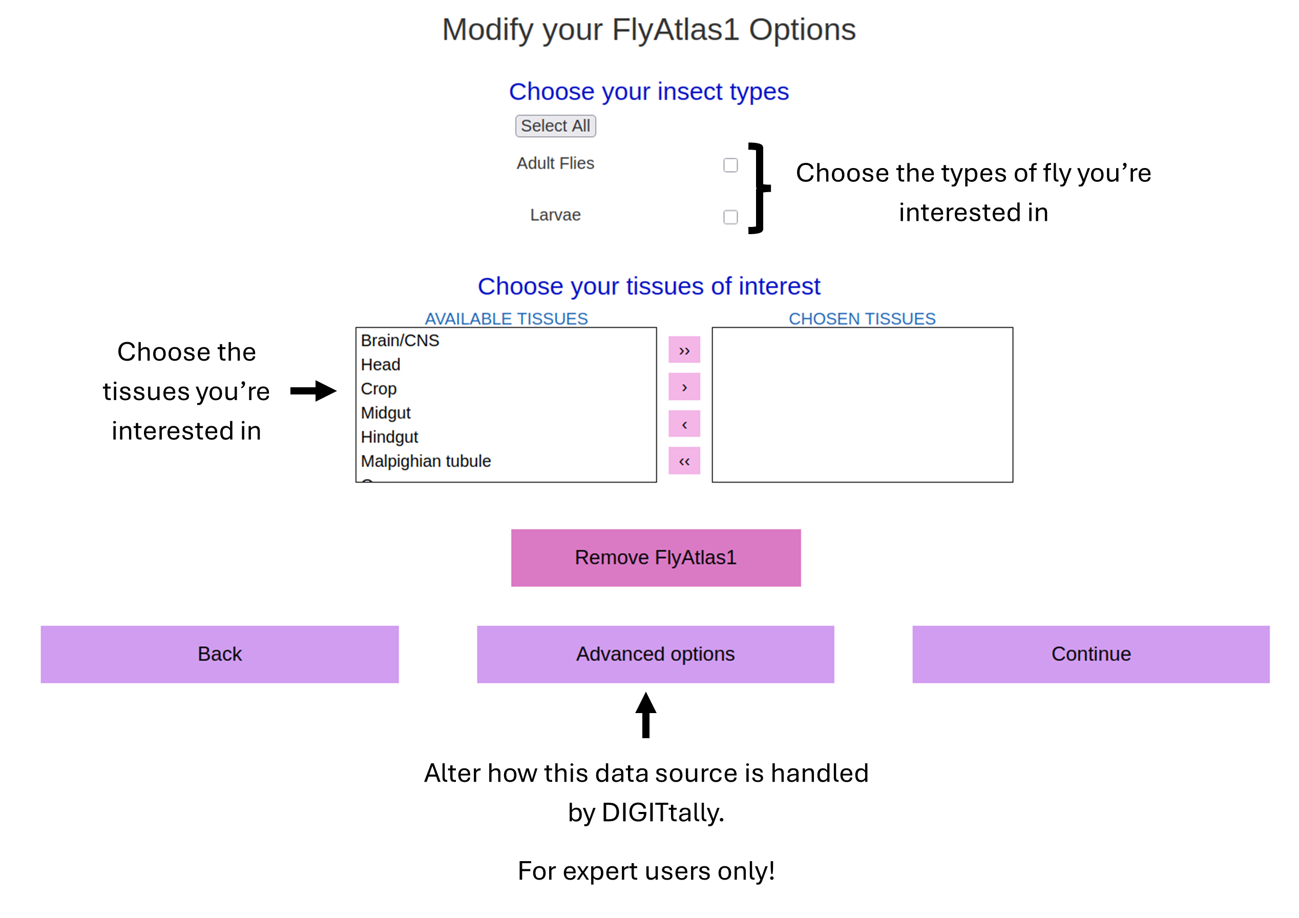 Image showing DIGITtally Individual Data Source wizard