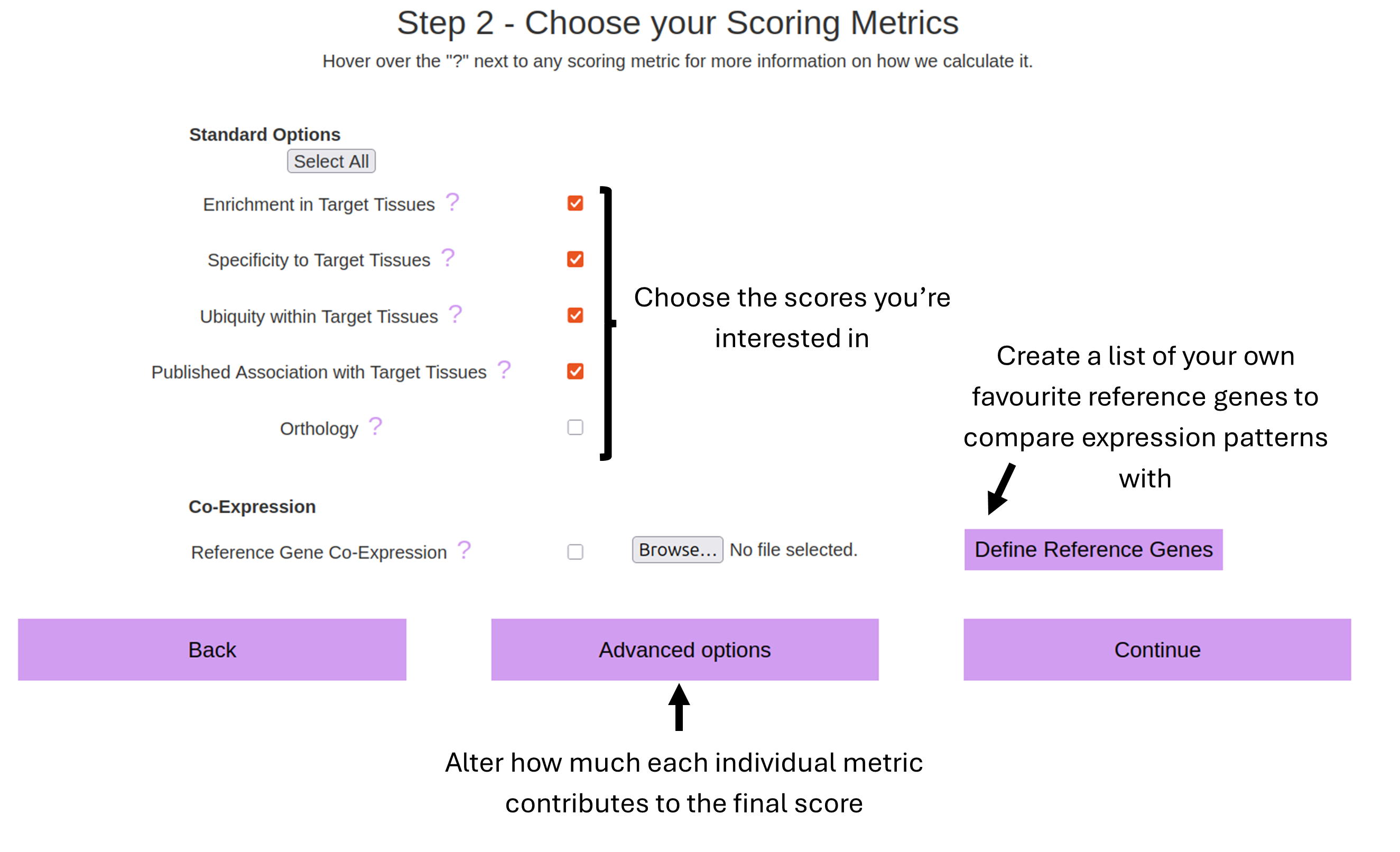 Image showing DIGITtally Score wizard